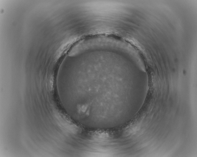 X0000088430640200705221248