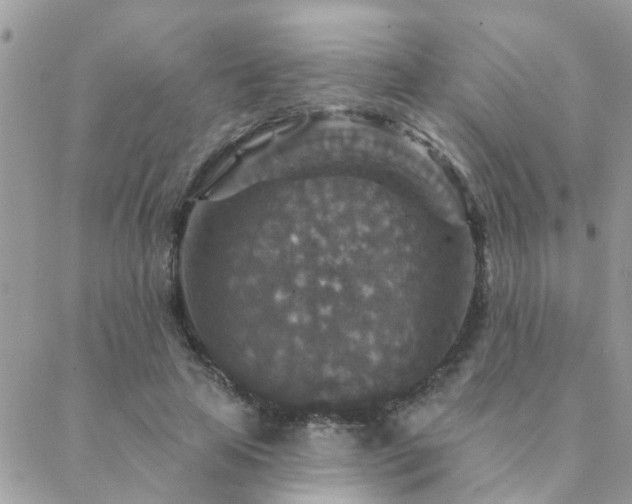 X0000088430641200705221248