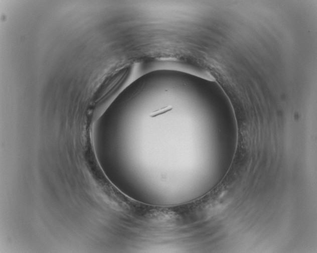 X0000088430642200705221248