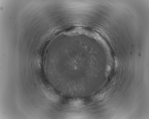 X0000088430643200705221248