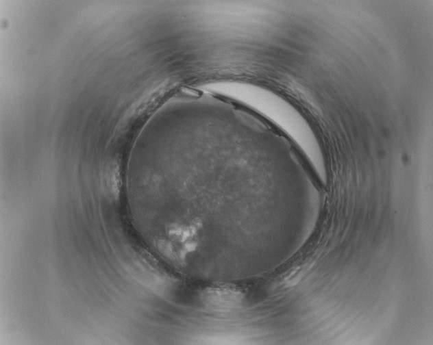 X0000088430644200705221248