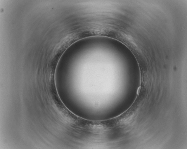 X0000088430645200705221248