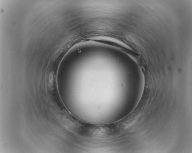 X0000088430646200705221248