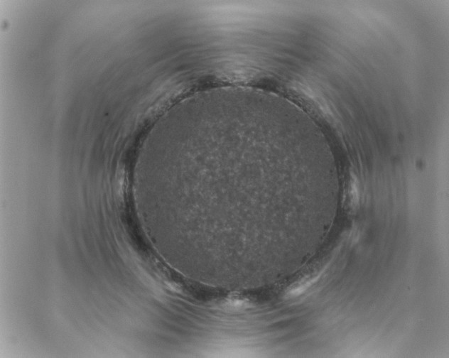 X0000088430647200705221248