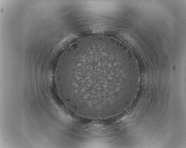 X0000088430648200705221248