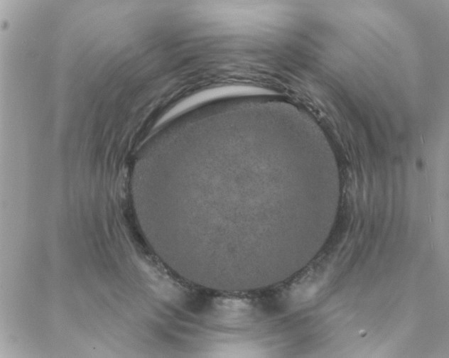 X0000088430649200705221248