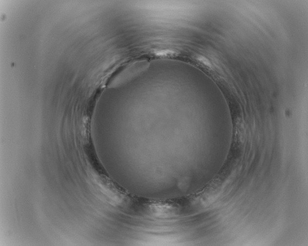 X0000088430650200705221248