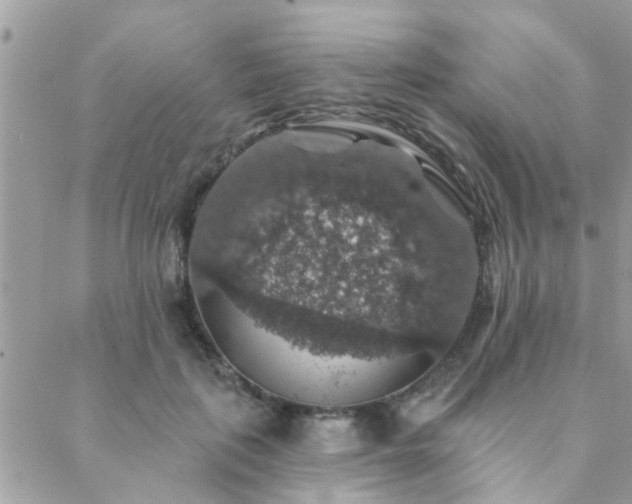 X0000088430651200705221248