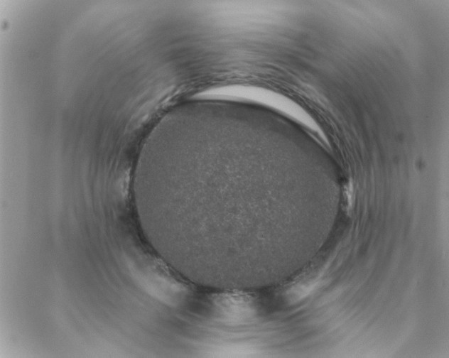 X0000088430652200705221248