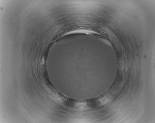 X0000088430653200705221248