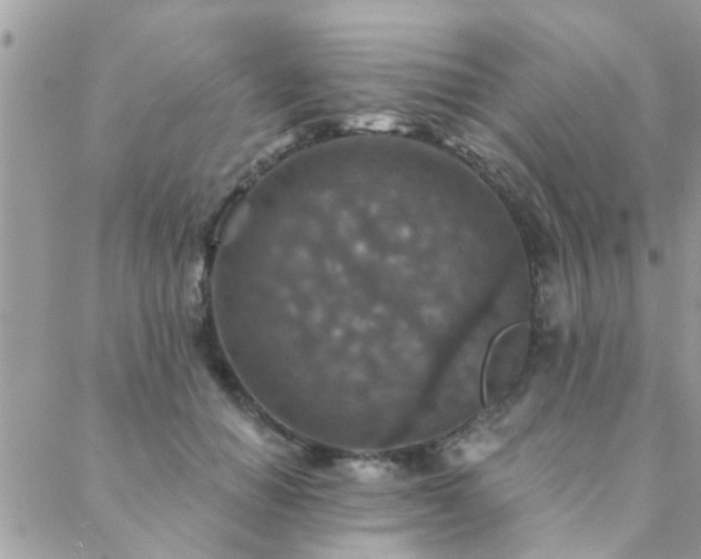 X0000088430654200705221248