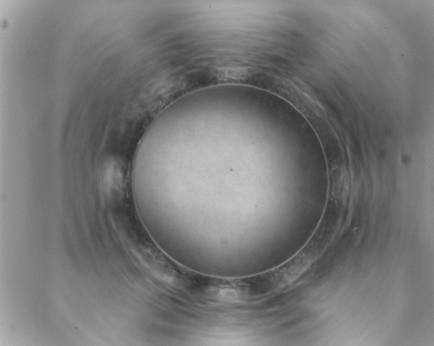 X0000088430655200705221248