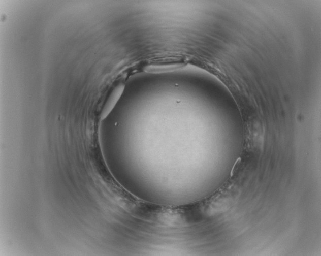 X0000088430656200705221248