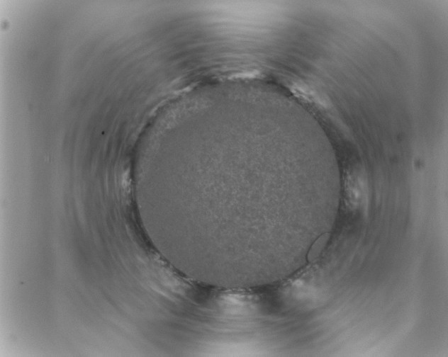 X0000088430657200705221248