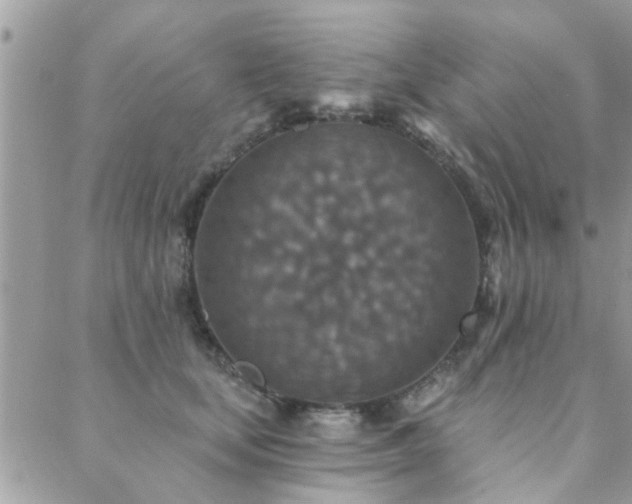 X0000088430659200705221248