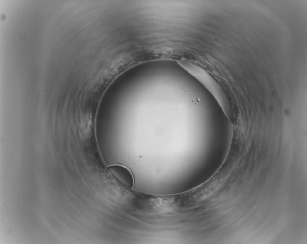 X0000088430660200705221248