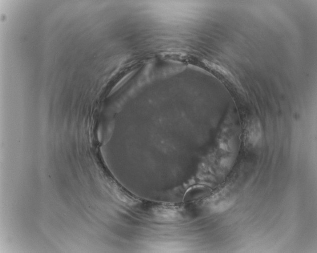 X0000088430661200705221248