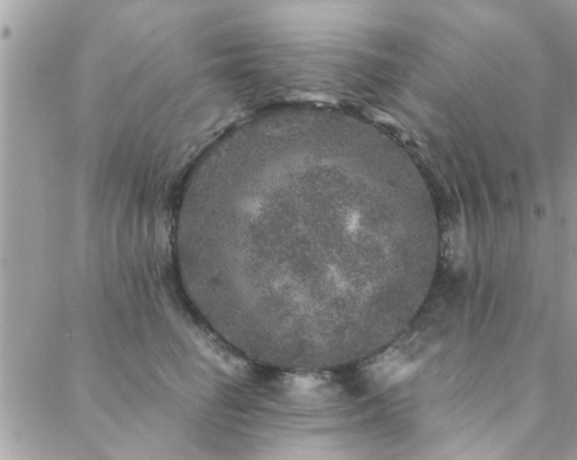 X0000088430662200705221248