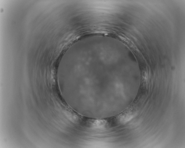 X0000088430663200705221248