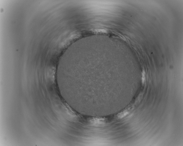 X0000088430664200705221248