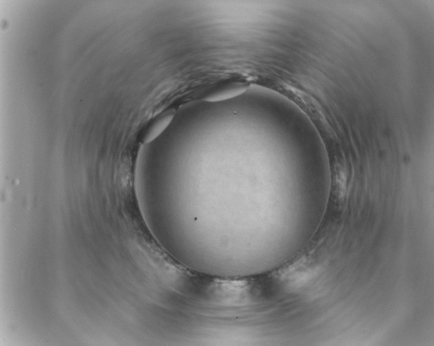 X0000088430665200705221248