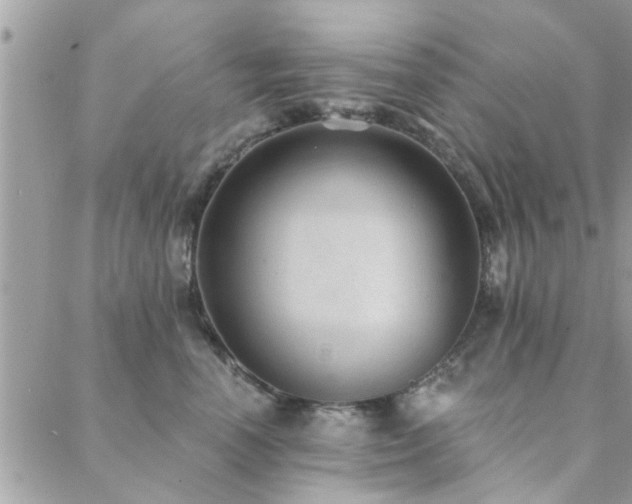 X0000088430666200705221248