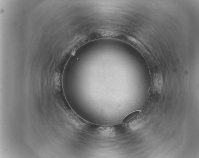 X0000088430667200705221248