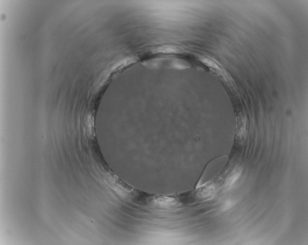 X0000088430669200705221248