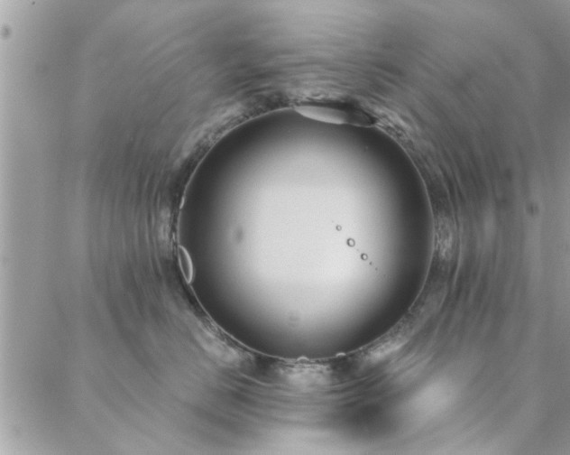 X0000088430670200705221249