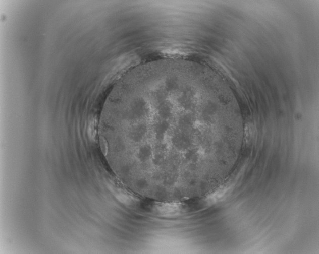 X0000088430671200705221249