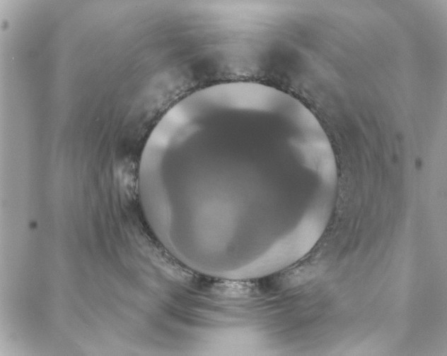 X0000088430672200705221249