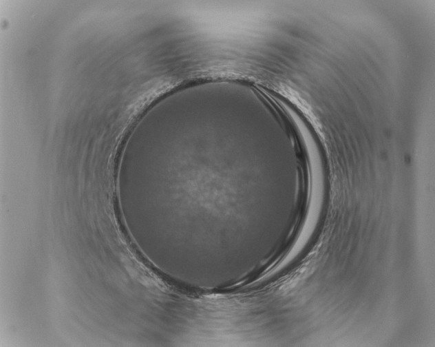 X0000088430673200705221248