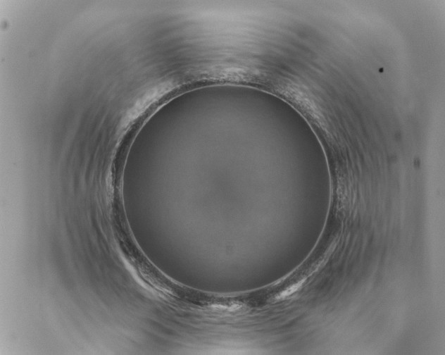 X0000088430674200705221248