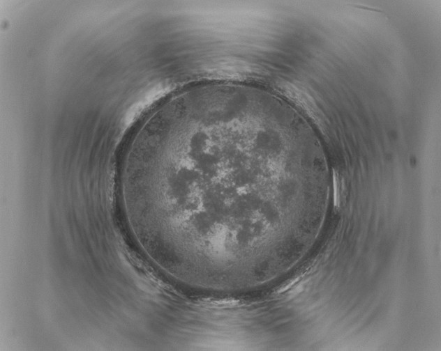 X0000088430675200705221248