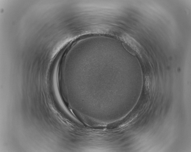 X0000088430676200705221248