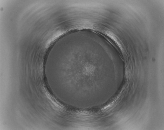 X0000088430677200705221248