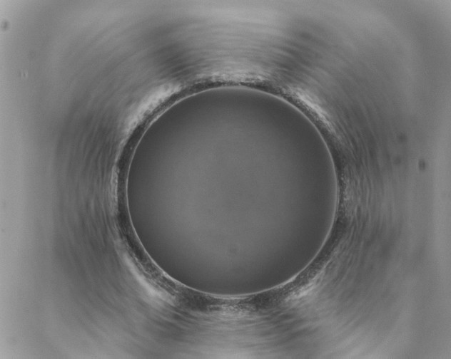 X0000088430678200705221248