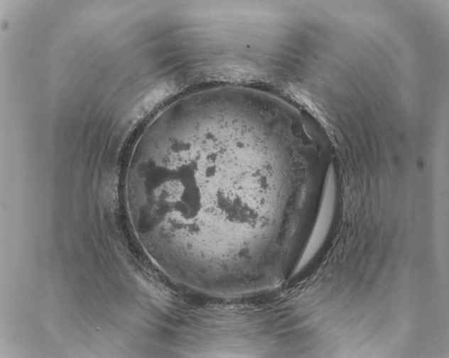 X0000088430679200705221248