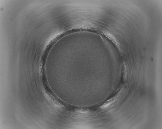 X0000088430680200705221248