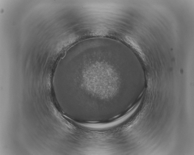 X0000088430681200705221248