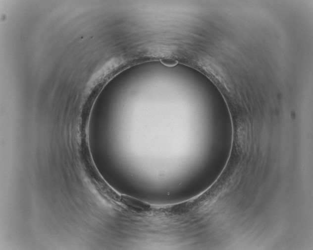 X0000088430682200705221248