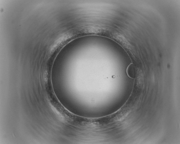 X0000088430683200705221248