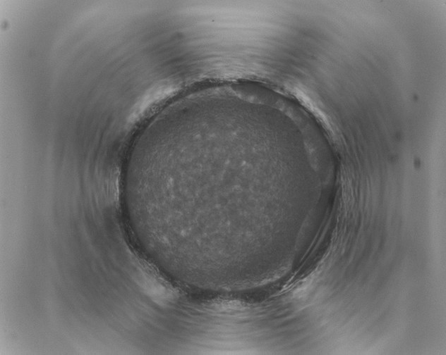 X0000088430685200705221248