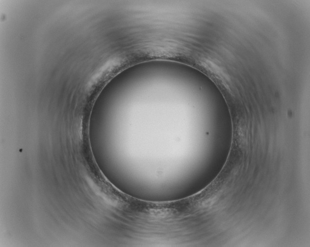 X0000088430686200705221248