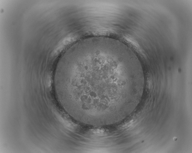 X0000088430687200705221248