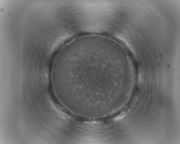 X0000088430688200705221248