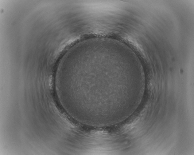 X0000088430689200705221248