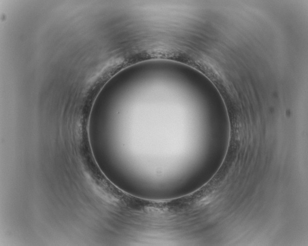 X0000088430690200705221247