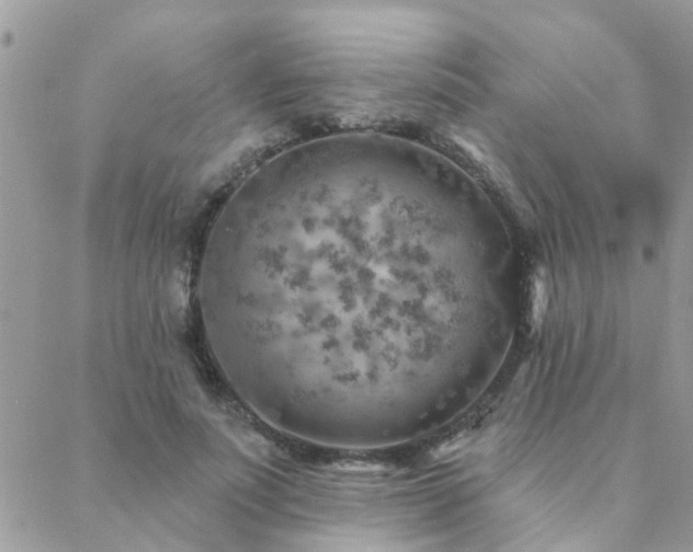 X0000088430691200705221247