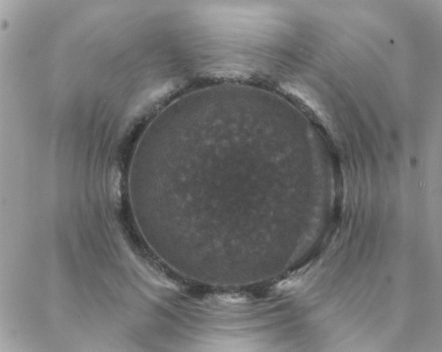 X0000088430692200705221247